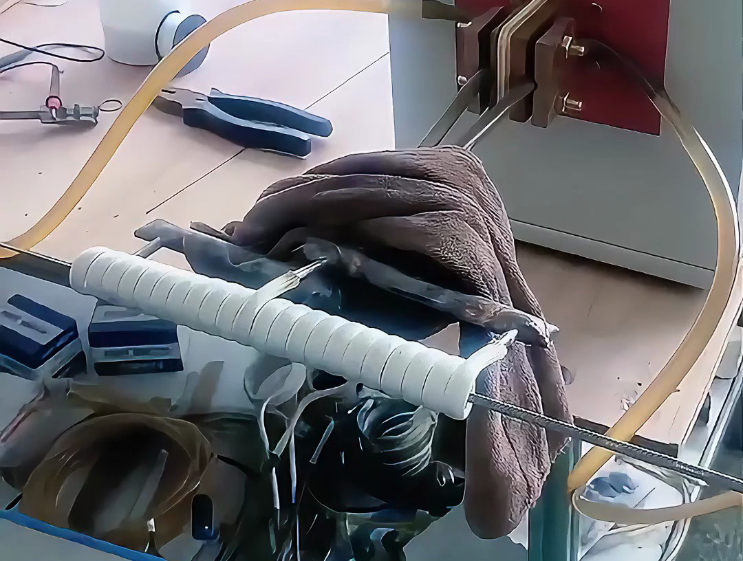 海瑞拓超高頻加熱機：不銹鋼絲在線退火的高效解決方案，賦能多領域線材加工